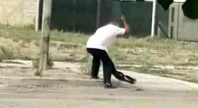 Argentina: Mató a palazos a un perro y reclaman que vaya a la cárcel