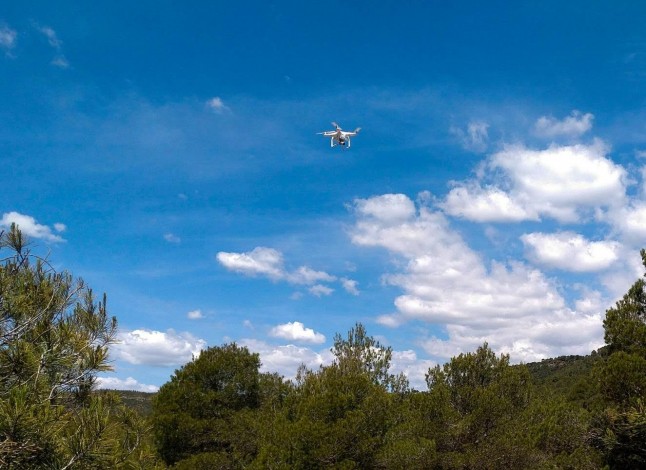 Arranca el primer concurso de fotografía con drones sobre bosques