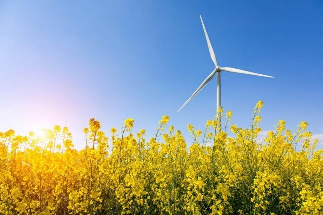 Europa da ‘luz verde’ al sistema de subastas de energías renovables de Grecia