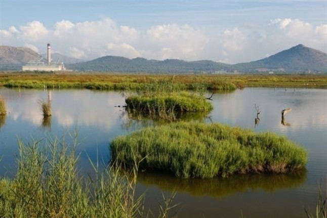 Baleares debe ‘tomar cartas en el asunto’ del parque natural de sAlbufera
