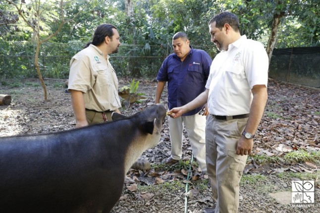 MiAMBIENTE y APPC estudian instalar centro de atención para animales silvestres