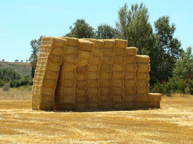 Paja de trigo para sustituir los plásticos de las baterías de litio