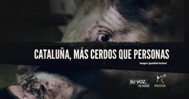 El problema de Cataluña del que ningún partido hablará