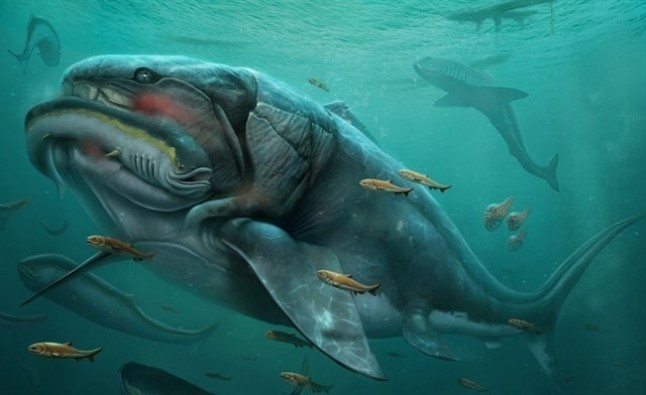 Reconstruyen el aspecto de uno de los primeros vertebrados de hace más de 350 millones de años