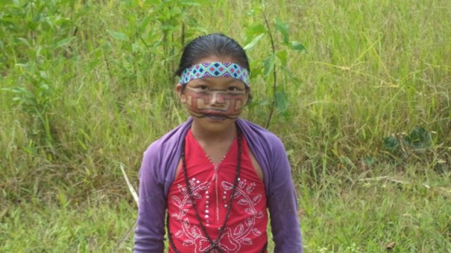 La carretera Puerto Esperanza –  Iñapari afectaría áreas protegidas y los pueblos indígenas más vulnerables de la Amazonía