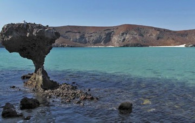 Áreas de Protección de Flora y Fauna en México