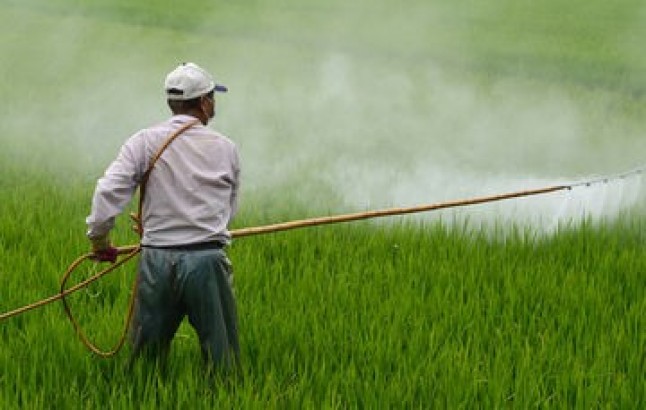 Día Internacional del No Uso de Plaguicidas