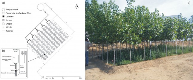 Plantaciones forestales como filtros verdes para eliminar fármacos y sustancias estimulantes de aguas residuales