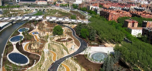 Rutas guiadas por Madrid Río para concienciar sobre la importancia de la conservación de las aves