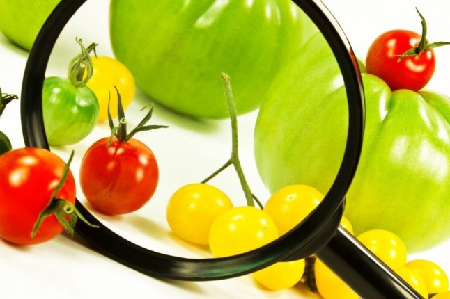 Seguridad alimentaria: producción sostenible