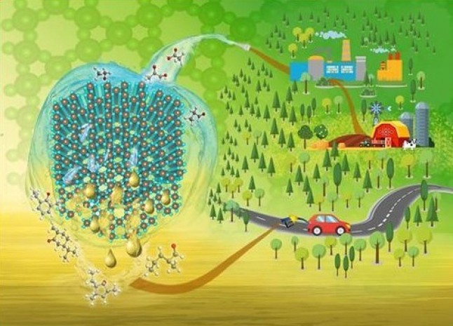 Desarrollan nuevos catalizadores que aumentan el valor de los productos obtenidos de la biomasa