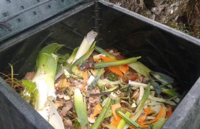 Camargo se apunta al compostaje doméstico