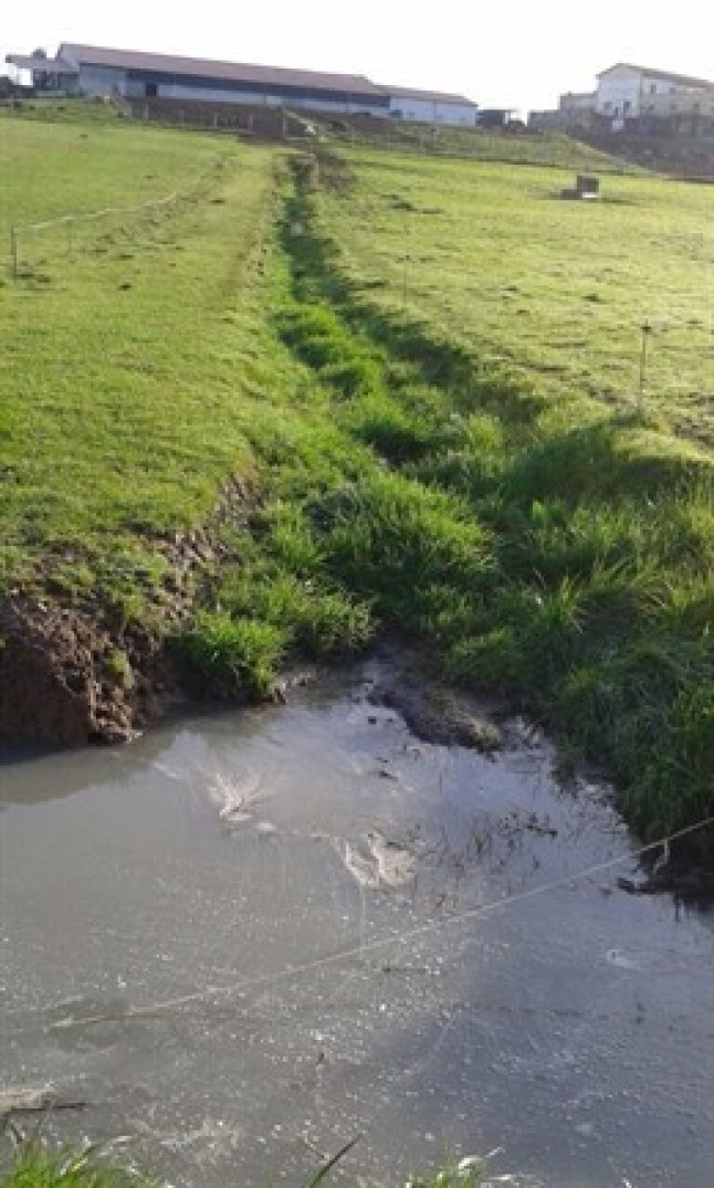 Asturias vuelve a ENGAÑAR afirmando que la ganadería no contribuye a la contaminación