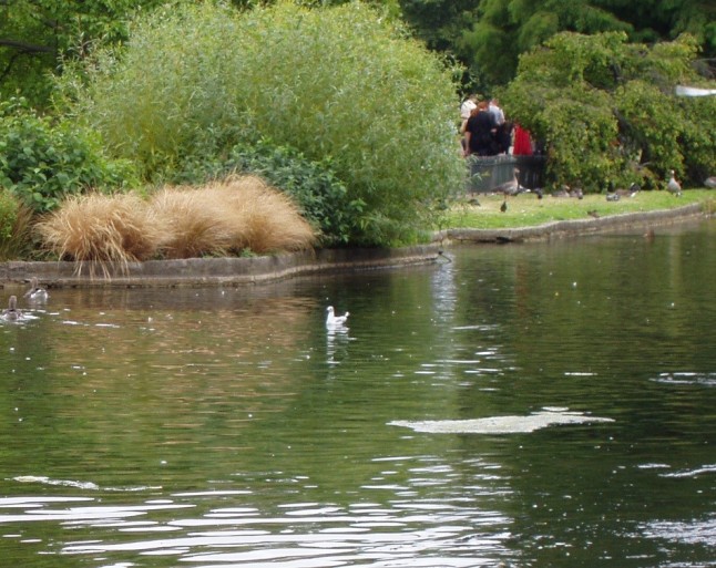 Los países se comprometen en la lucha contra el cambio climático