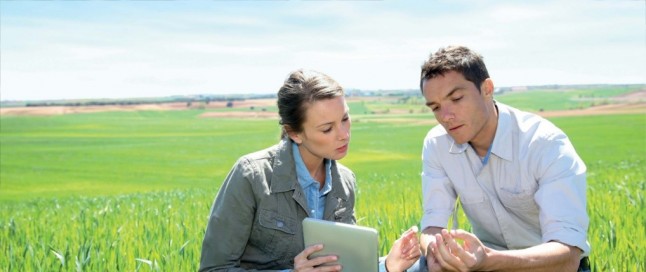 Gestión y Auditoria ambiental