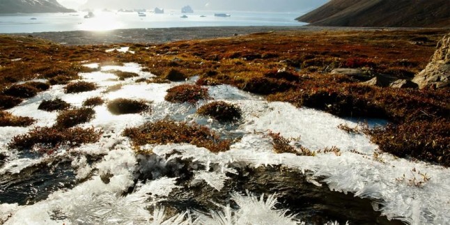 Si el permafrost se deshiela la liberación de mercurio sería una catástrofe para la salud del planeta estratosférica