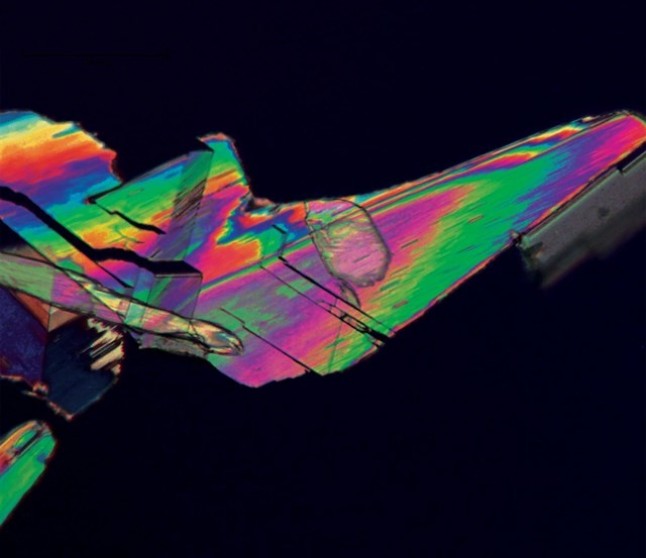 Plástico a partir de biomasa