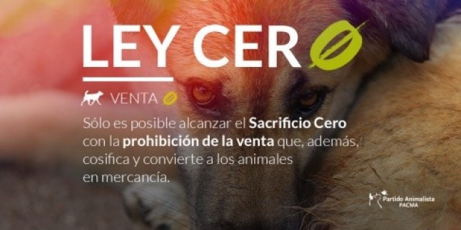 Los animales no son cosas En qué consiste exactamente la modificación del Código Civil
