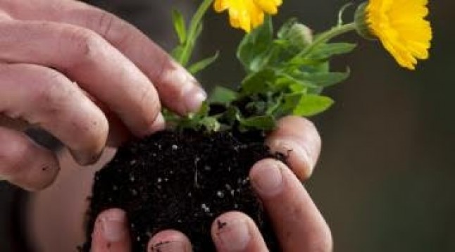 Sogama ha repartido cerca de 7.400 compostadores entre distintas entidades gallegas