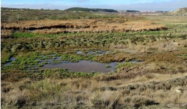 Vertido de aguas fecales a arroyos de Torrejón de Velasco
