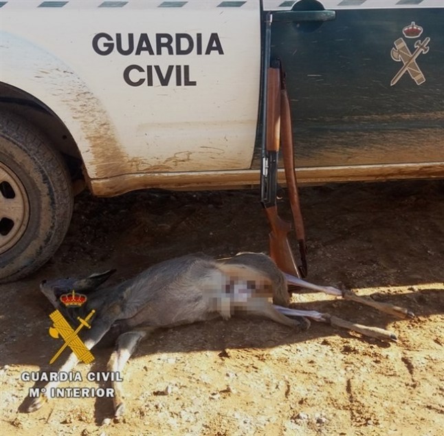 Un desalmado abate un corzo en Burgos sin autorización y con un cartucho no permitido