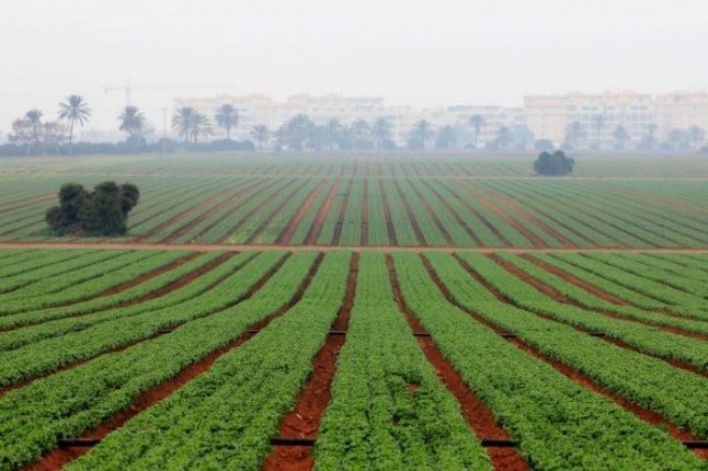 Agria polémica sobre la Ley del Mar Menor