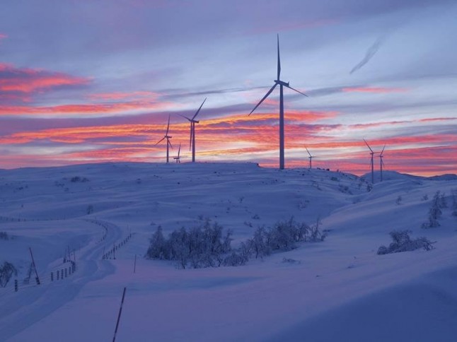 Los auditores de la UE examinan la producción de energía eólica y solar