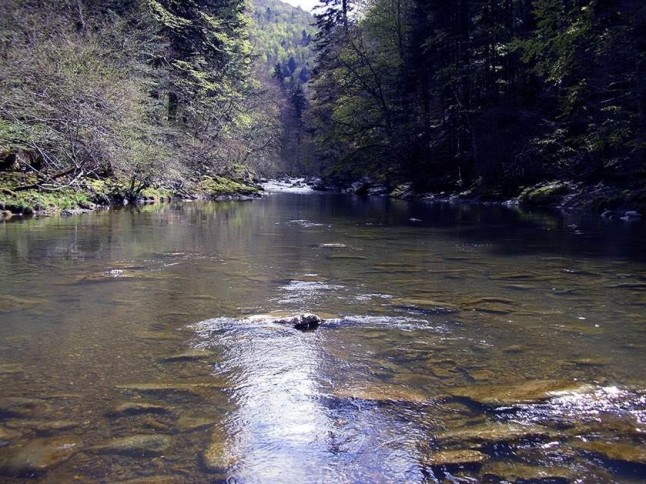 El caudal de los ríos navarros cae un 30%