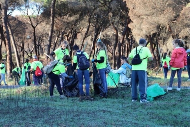 Ecobolas para reforestar la zona del incendio de Doñana