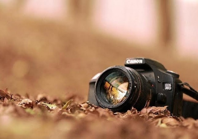 Certamen fotográfico andaluz: Mayores por el Medio Ambiente