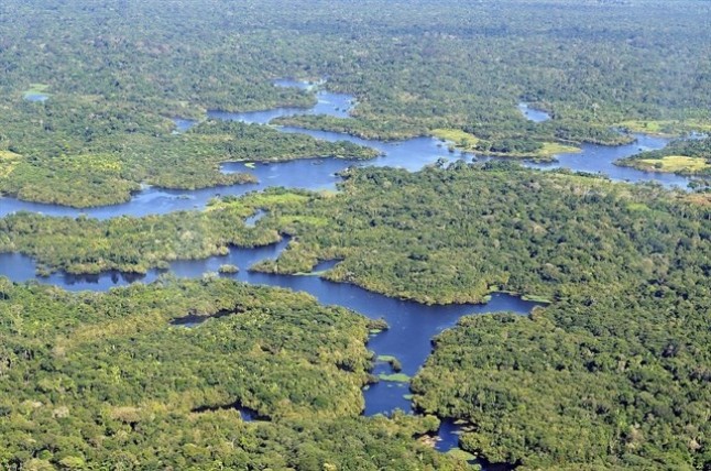 Los bosques inundados del Amazonas emiten tanto metano como los océanos