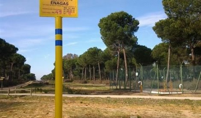 Informe IGME sobre Doñana