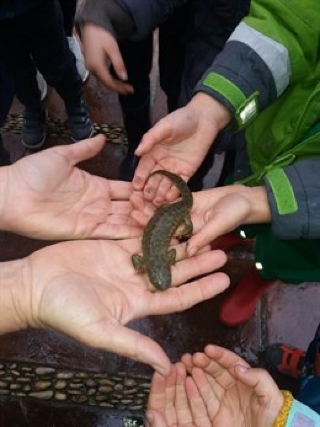SORPRESA en el Real Jardín Botánico de Córdoba