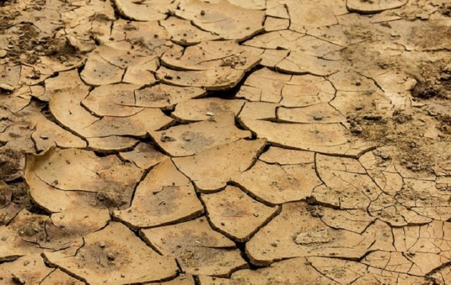 Agricultores andaluces quieren la inmediata aprobación del decreto de la sequía