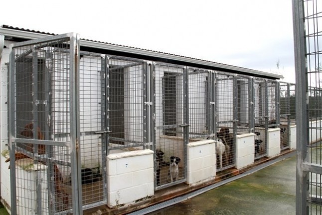 Diputación de Huelva anima a adoptar animales abandonados a través del refugio animal tras rescatar 670 desde enero