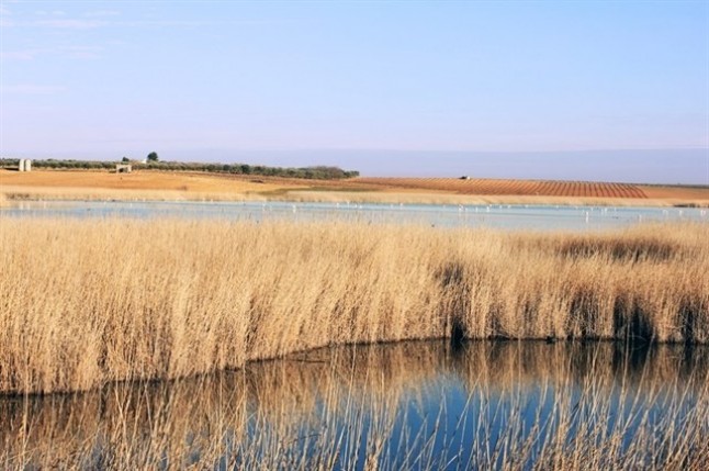 Fundación Global Nature con los Humedales