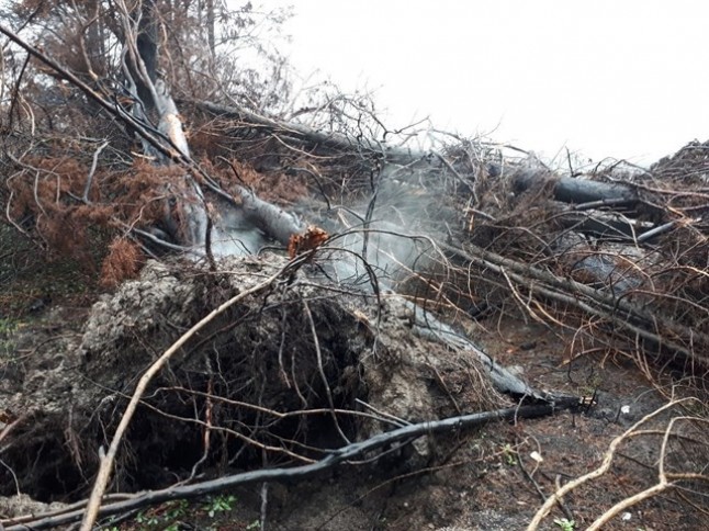 La contaminación sigue tras los incendios forestales en Galicia