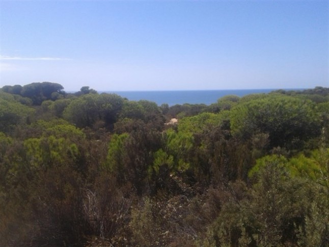 Condenados a pagar casi 3.000 euros por pescar en Doñana con artes de carácter destructivo