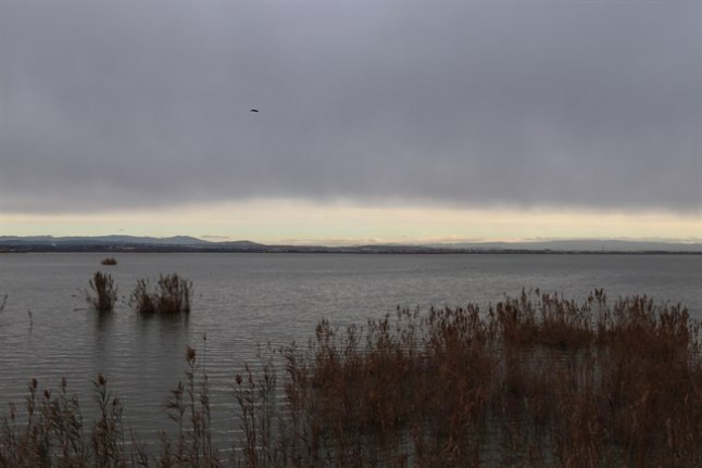 La Albufera inaugura una nueva torre de observación de aves en el Tancat de Milia