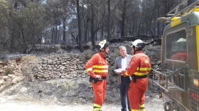 Inversión para restaurar en la Comunitat Valenciana las 7.300 hectáreas quemadas en 2016 y 2017