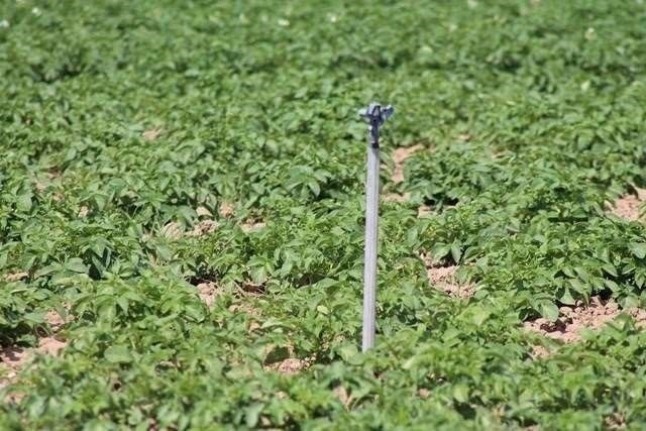 Regantes andaluces piden que el decreto de sequía estatal contemple indemnizaciones a perjudicados por cambios en el uso