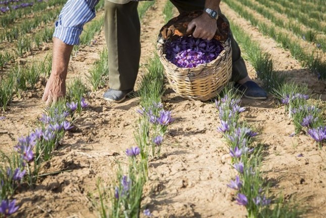 Dos eurodiputadas españolas