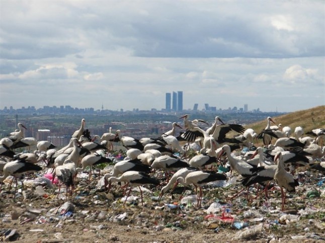 Europa acuerda reciclar el 65% de los residuos urbanos en 2035