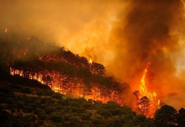 2017 el año con más grandes incendios del decenio y el peor desde 2012 por superficie arrasada