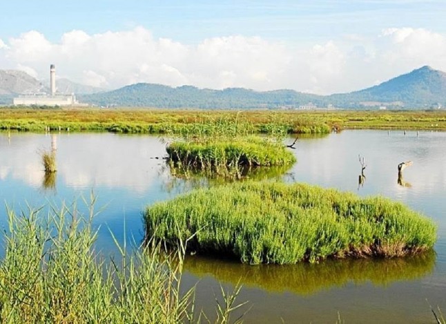 La imparable y vergonzante degradación de sAlbufera (Mallorca)
