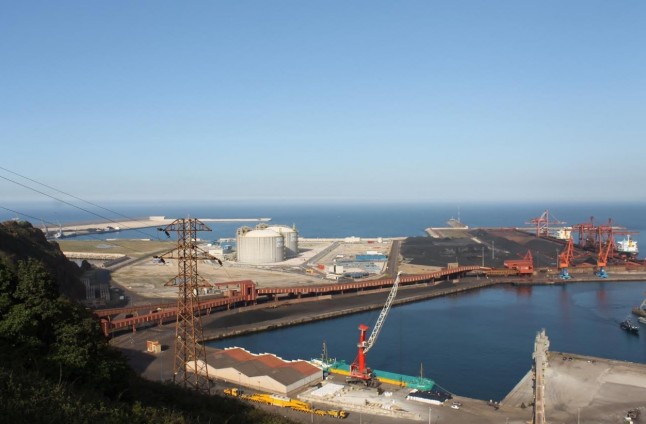 El disparate que pretende Asturias criar una especie invasora en el contaminado Musel