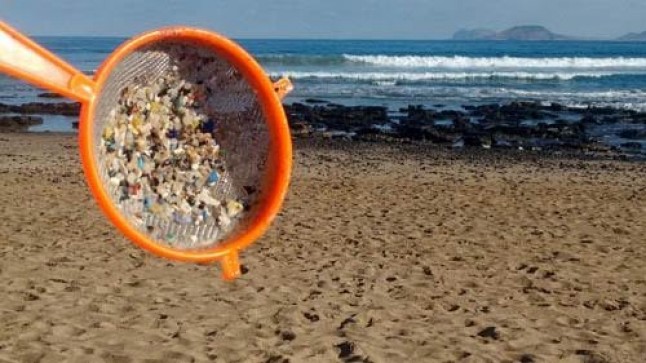 Un estudio de la ULPGC alerta de la contaminación por microplásticos en Canarias