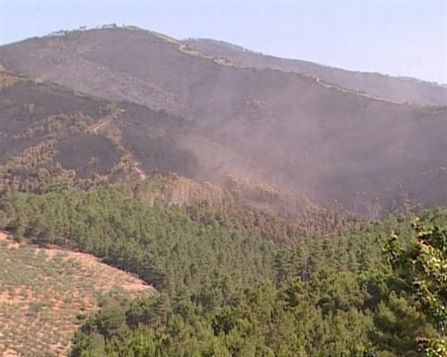 Muy pronto arranca la regeneración de masas forestales en Las Hurdes