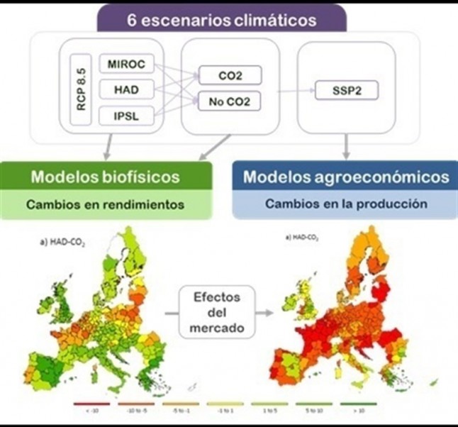 El rendimiento agrícola ‘mediatizado’ por el cambio climático