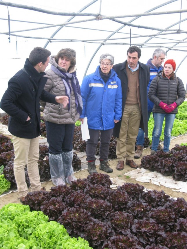Intia experimenta con papel para sustituir al plástico en el acolchado de cultivos